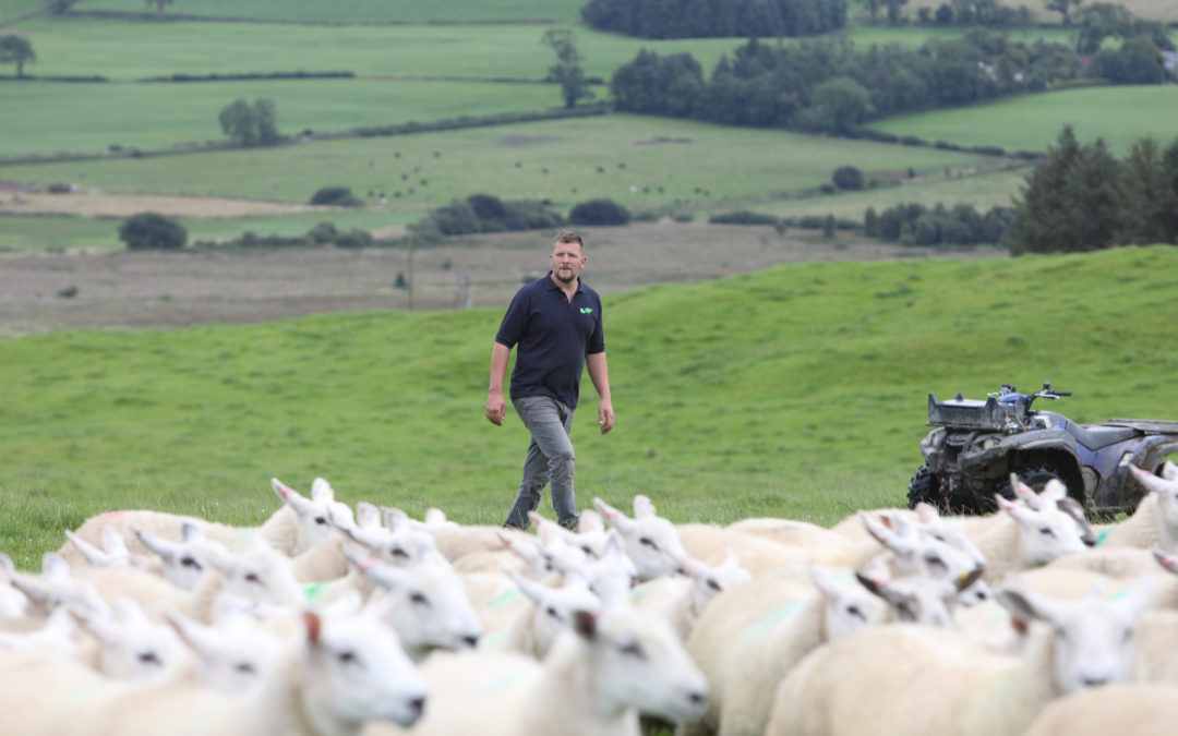 Are EWE ready for lambing? Find out at the Dumfries Monitor Farm winter meeting