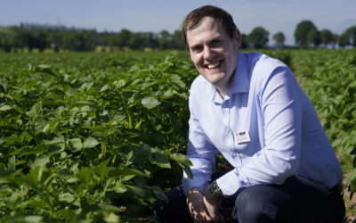BASF launches new late blight fungicide at British Potato 2023