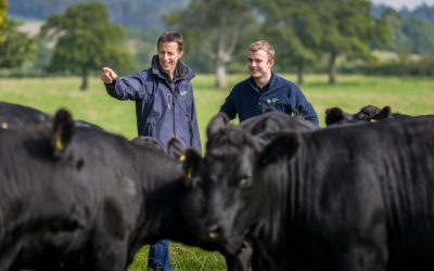 Free practical meeting on tech and software for livestock producers