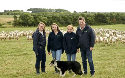 Find out how small changes make big impacts at latest  Banff and Buchan Monitor Farm meeting