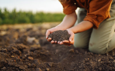 Millions of metres of hedgerow and extensive soil testing demonstrates the commitment of UK farmers to improving biodiversity