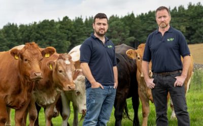 Farmers Invited to Hands-On Body Condition Scoring at Strathspey Monitor Farm Meeting