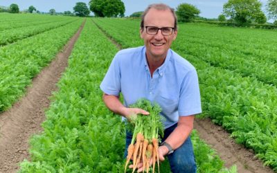 Carrots are the tops: British Carrot Growers Association launches National Carrot Awareness Day