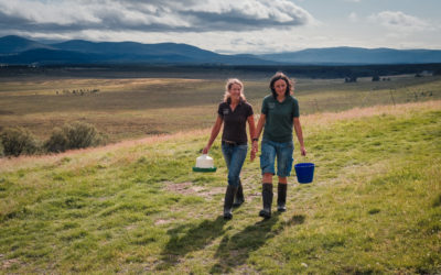 Sharing their story: All work and no play left Lynn and Sandra rethinking their crofting life  