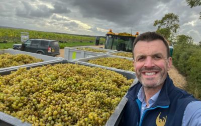 Lincolnshire farmer diversified into a vineyard rooted in 160 million years of history