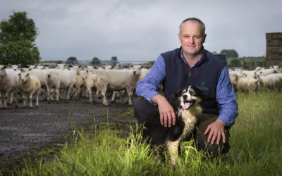 New funding available to support snapshot studies within the farming sector