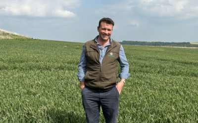 RevyPro – Velcourt’s T2 partner of choice