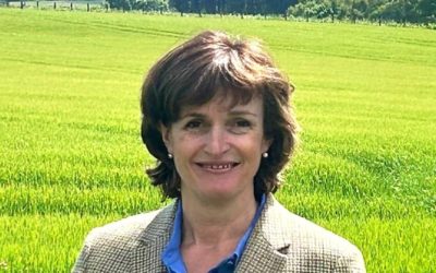 Ringlink (Scotland) Ltd and Highland Business Services Ring Ltd to merge