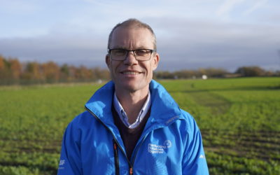 Perfecting Potatoes Together: Innovation and Insight