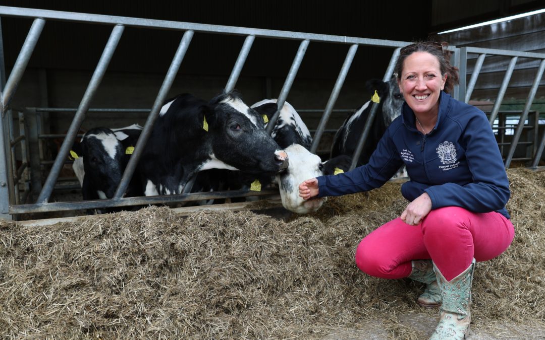 Why British red meat needs to speak up, and has the evidence to do so