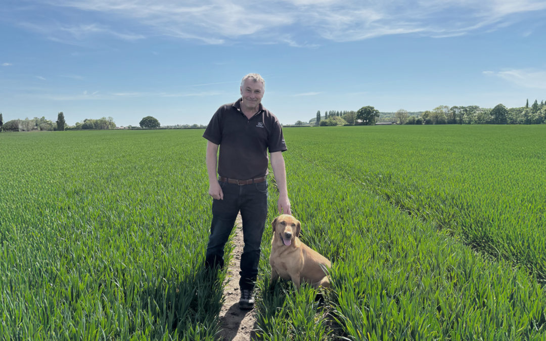 Agronomy blog: Grassweeds and dry conditions delay drilling in the North East