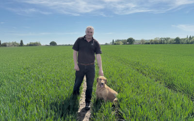 Agronomy blog: Grassweeds and dry conditions delay drilling in the North East