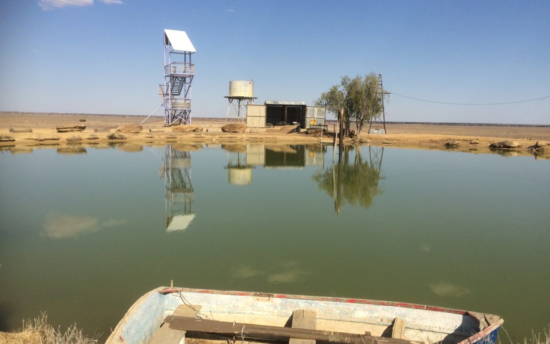 What we can learn from farmers abroad about managing drought