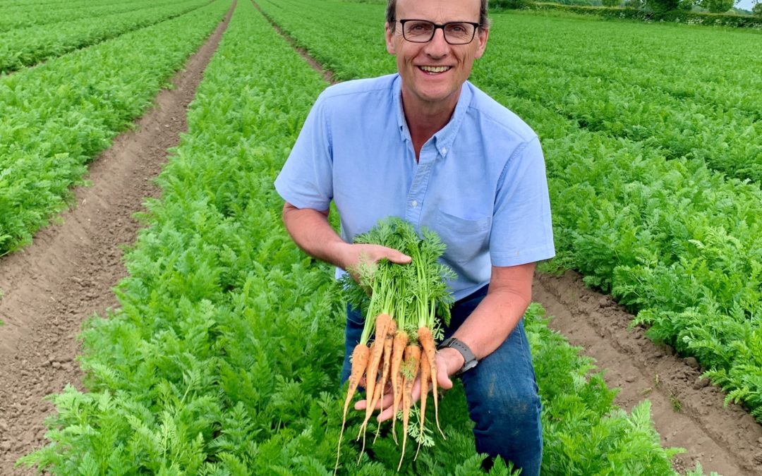 Carrots are the tops – British Carrot Day launches for 2025