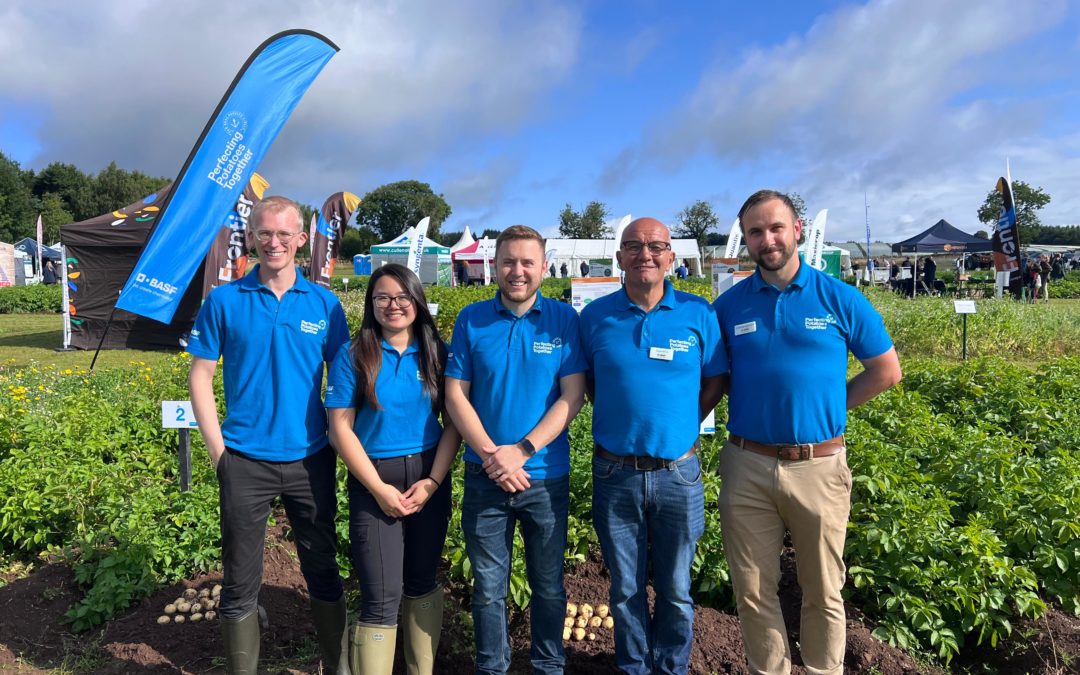 Potatoes in Practice – driving innovation and collaboration