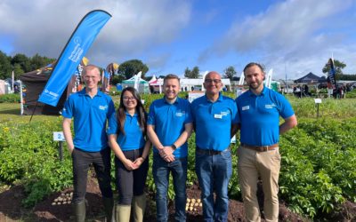 Potatoes in Practice – driving innovation and collaboration