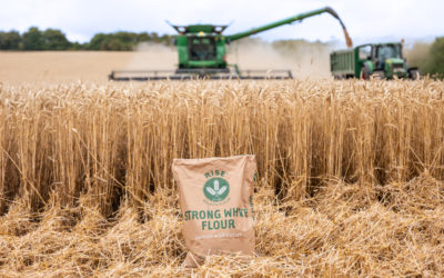 Eurostar Commodities named as finalist in Sustainability Initiative of the Year Award with RE:GEN flour range