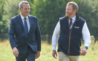 Strong entry for October Stirling Bull Sales