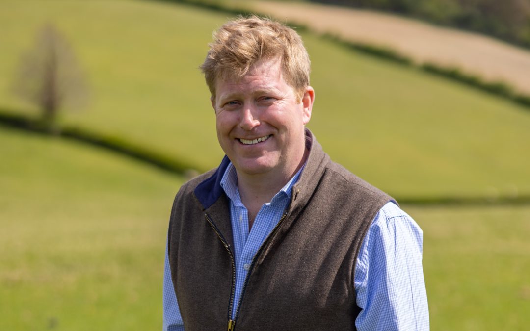 Knight Frank reports further dip in farmland values as Budget and tax uncertainty stalls market
