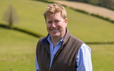 Knight Frank reports further dip in farmland values as Budget and tax uncertainty stalls market