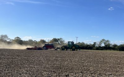 Agronomy blog: Grass weed germination: It is only the start of the bell curve