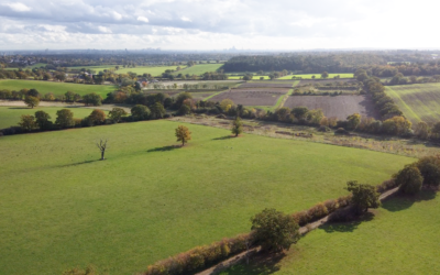 Rewilding project on London’s edge opens new chapter for urban nature recovery