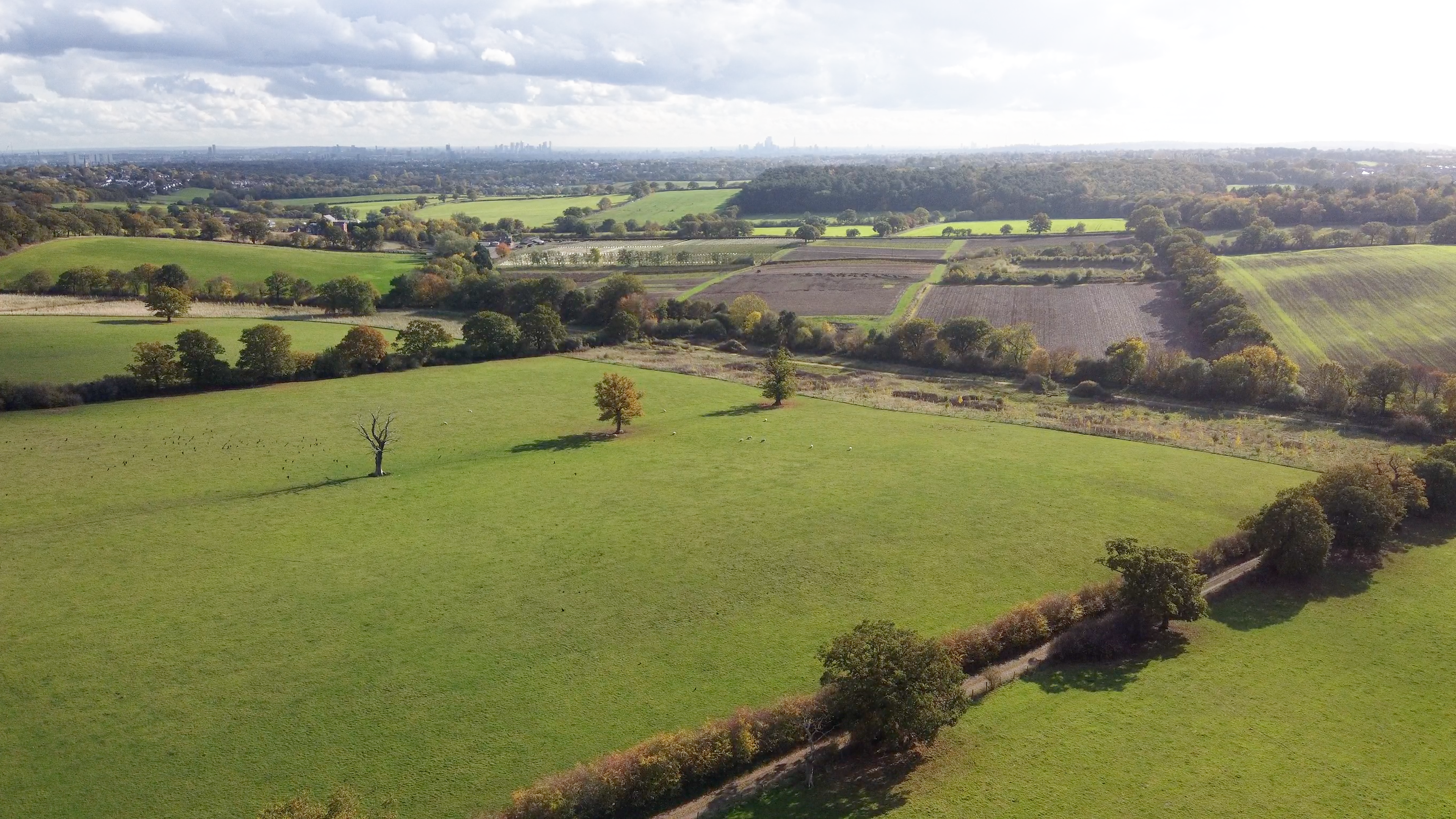 efc961ce-c1c1-48c2-b46e-44cca3d82153