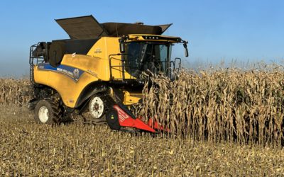 The Grain Maize Gamble That’s Paying Off for the Arable Farmer of the Year