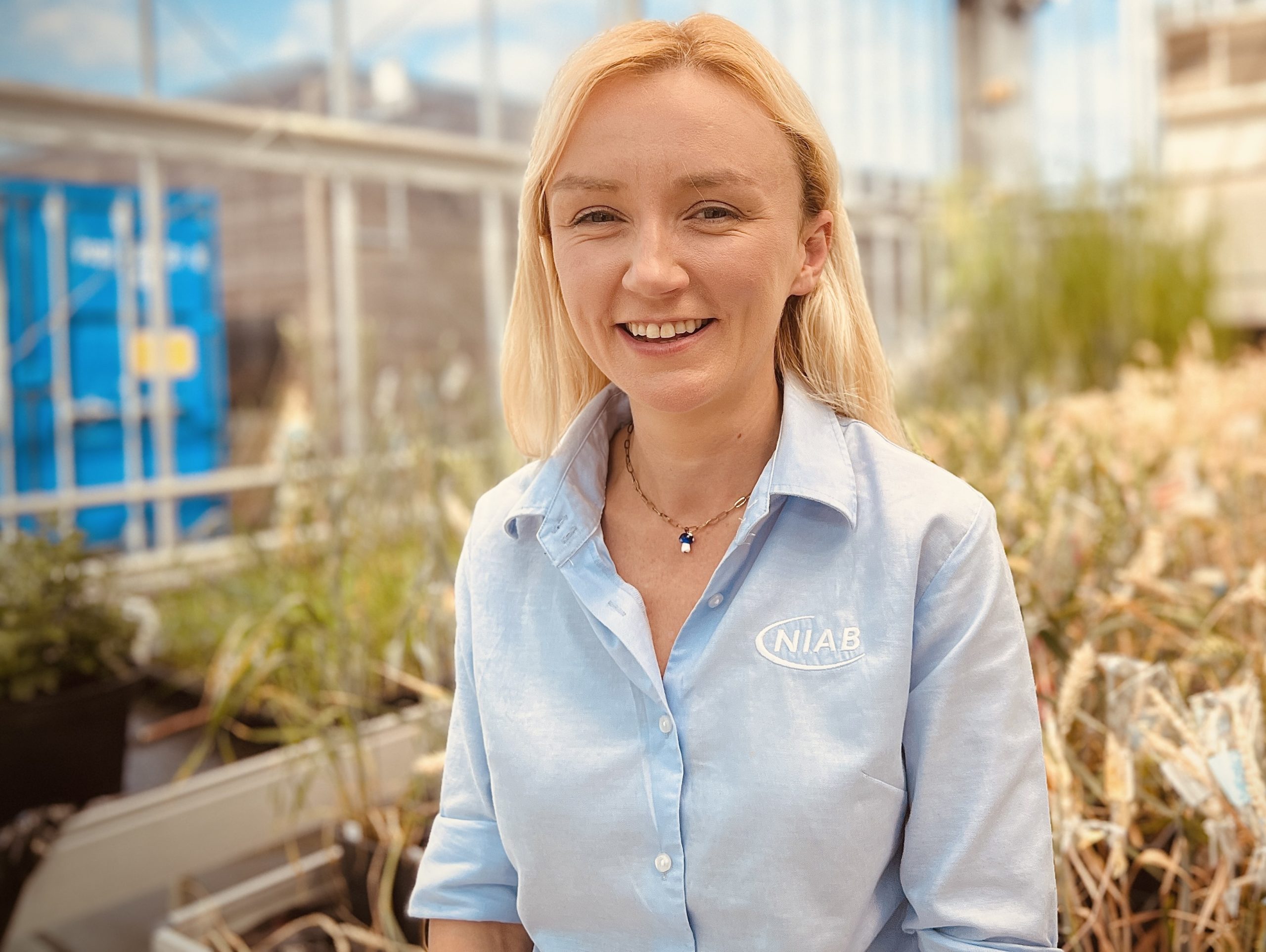 650b469c-b296-49c3-8422-c966b5f88341