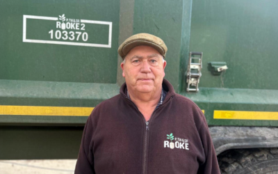 Grow for your market, not for one that doesn’t exist