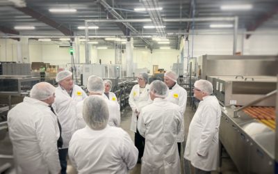 Farmlay hosts farm visit as part of QMS’s ‘Meating our Potential’ campaign