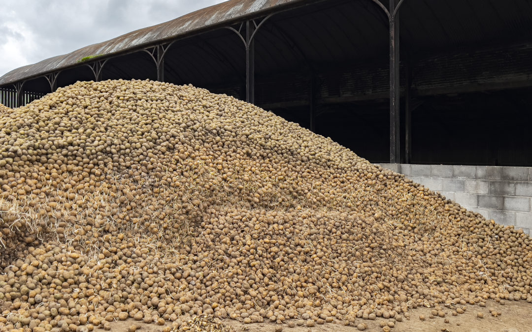 CIPC Residues Monitoring Group submits second-year draft report