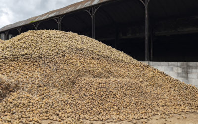 CIPC Residues Monitoring Group submits second-year draft report