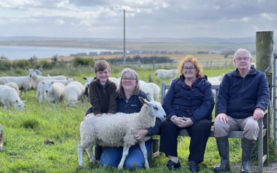 Sally Crowe: Making the croft work for me.