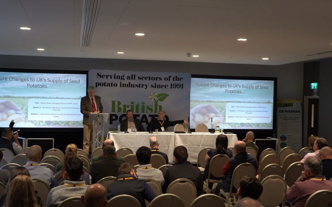 The seeds of success