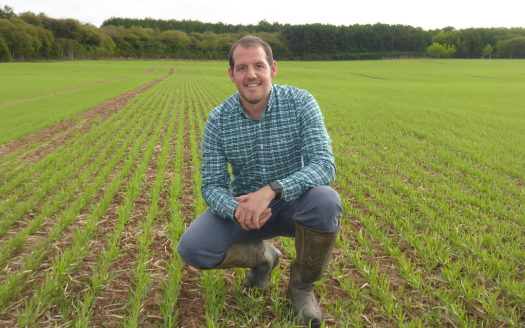 Season update: Clean cereals crops, boosting barley’s grassweed control and fungicide forecasts