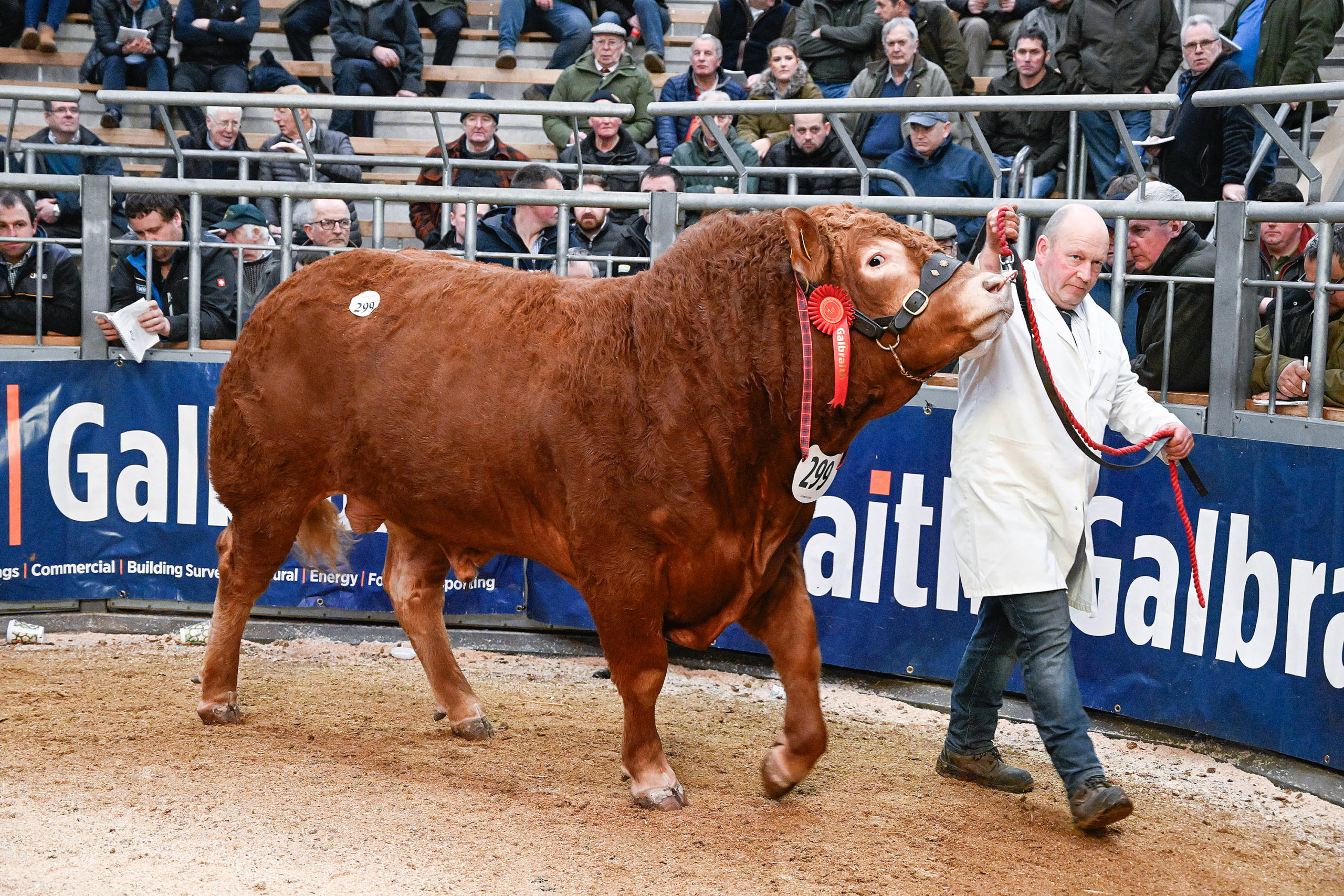 Photography by Whyler Photos Of Stirling