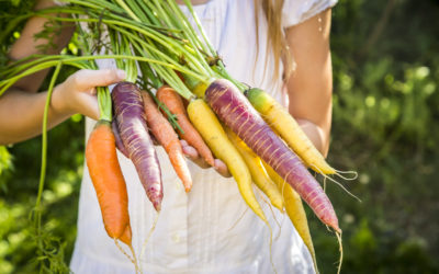 The British Carrot Growers’ Association launches School Carrot Growing Competition with Elsoms Seeds