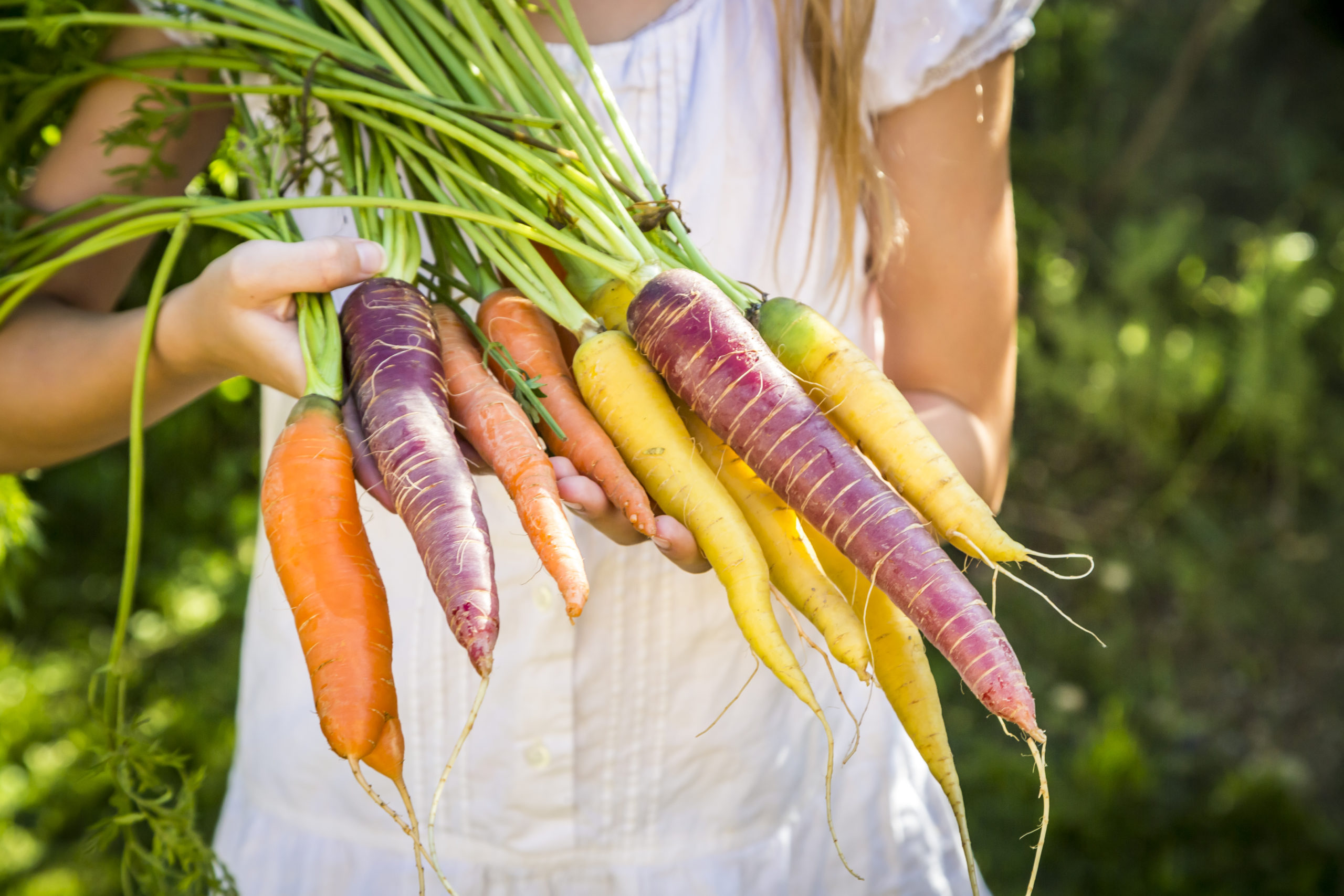 461585dd-7212-4ed5-81aa-5b93c61f6506