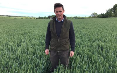 SEASON UPDATE: Managing costs and yield in another tricky season