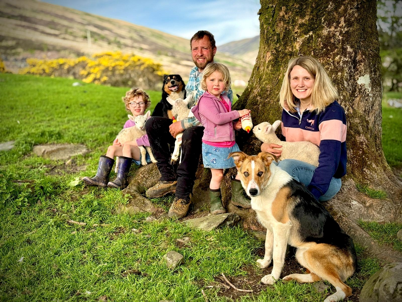 fca3a643-dd74-4ca7-91a2-a5851d3f6680