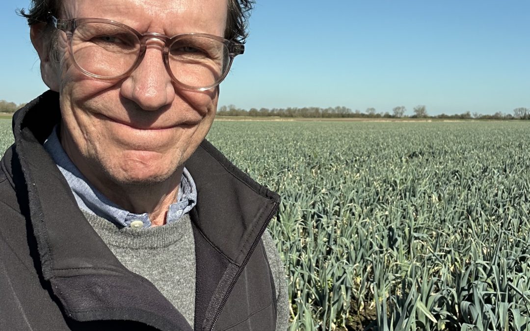 UK leek production lies in the hands of seed breeders
