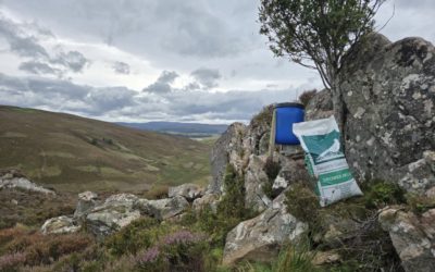 Precision nutrition unlocks potential for Highland partridge